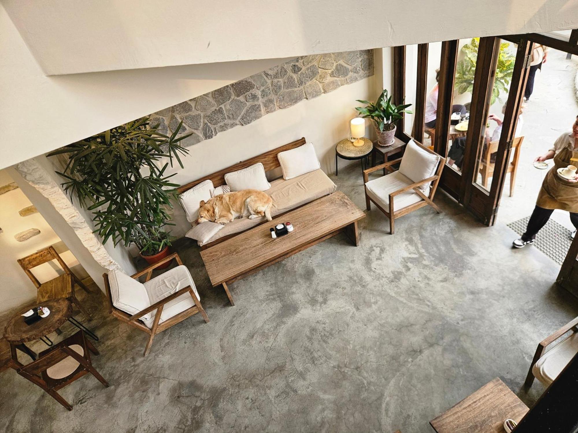 Hotel Blossom Pokhara Exterior foto